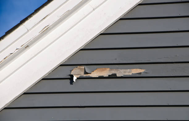 Best Siding Painting and Refinishing  in Glen Ridge, NJ
